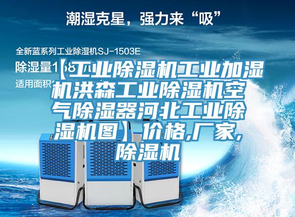 【工業(yè)除濕機工業(yè)加濕機洪森工業(yè)除濕機空氣除濕器河北工業(yè)除濕機圖】?jì)r(jià)格,廠(chǎng)家,除濕機