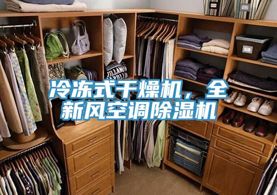 冷凍式干燥機，全新風(fēng)空調除濕機