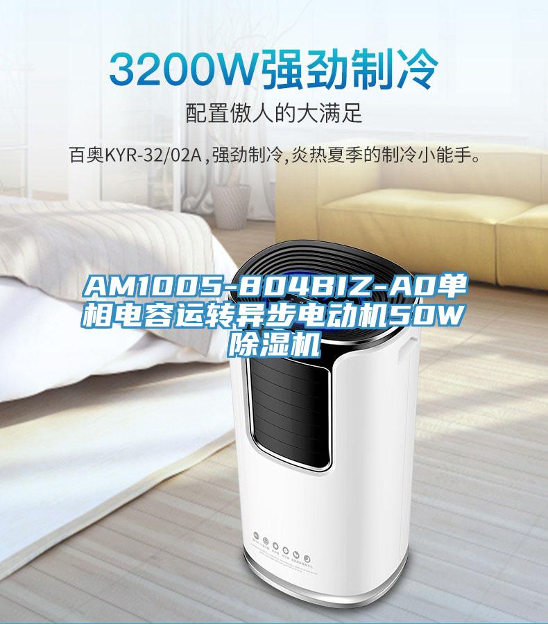 AM1005-804BIZ-A0單相電容運轉異步電動(dòng)機50W除濕機