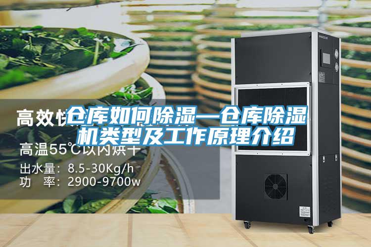 倉庫如何除濕—倉庫除濕機類(lèi)型及工作原理介紹