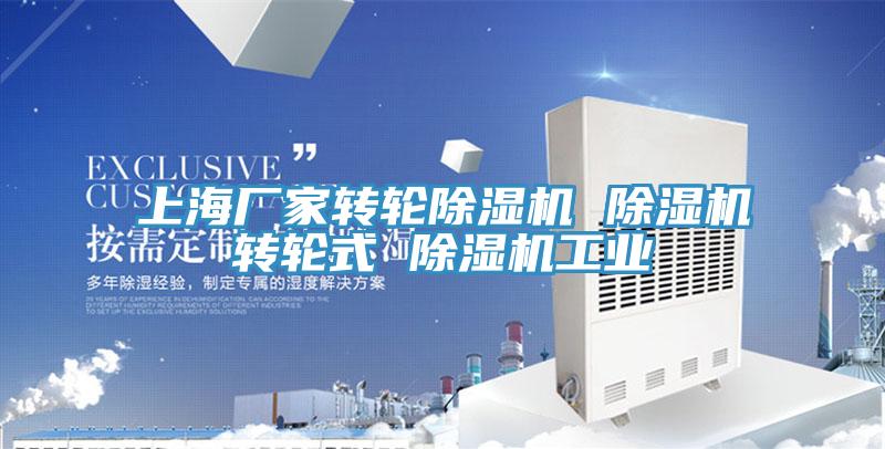 上海廠(chǎng)家轉輪除濕機 除濕機轉輪式 除濕機工業(yè)