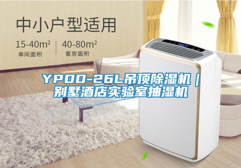 YPDD-26L吊頂除濕機｜別墅酒店實(shí)驗室抽濕機