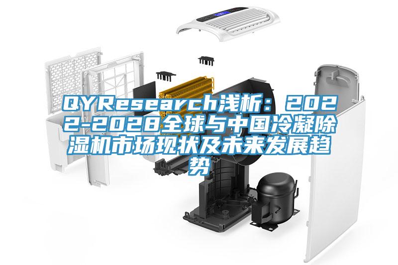 QYResearch淺析：2022-2028全球與中國冷凝除濕機市場(chǎng)現狀及未來(lái)發(fā)展趨勢