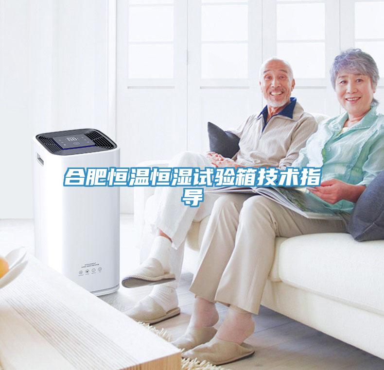 合肥恒溫恒濕試驗箱技術(shù)指導