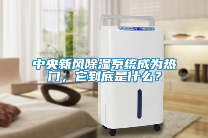 中央新風(fēng)除濕系統成為熱門(mén)，它到底是什么？