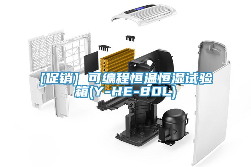 [促銷(xiāo)] 可編程恒溫恒濕試驗箱(Y-HE-80L)