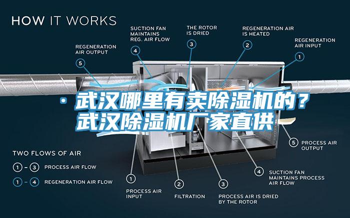 ·武漢哪里有賣(mài)除濕機的？武漢除濕機廠(chǎng)家直供