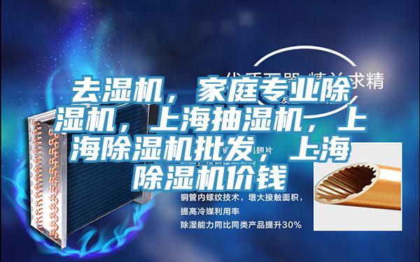 去濕機，家庭專(zhuān)業(yè)除濕機，上海抽濕機，上海除濕機批發(fā)，上海除濕機價(jià)錢(qián)
