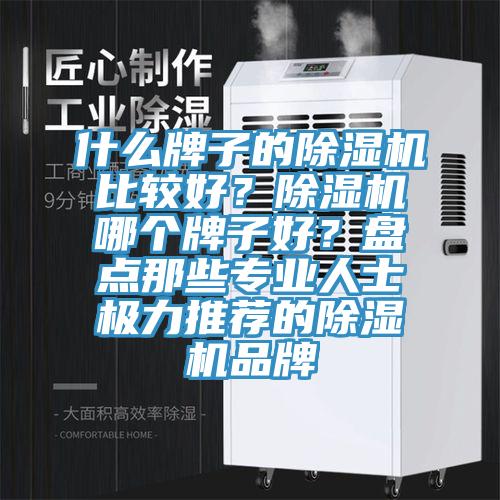 什么牌子的除濕機比較好？除濕機哪個(gè)牌子好？盤(pán)點(diǎn)那些專(zhuān)業(yè)人士極力推薦的除濕機品牌