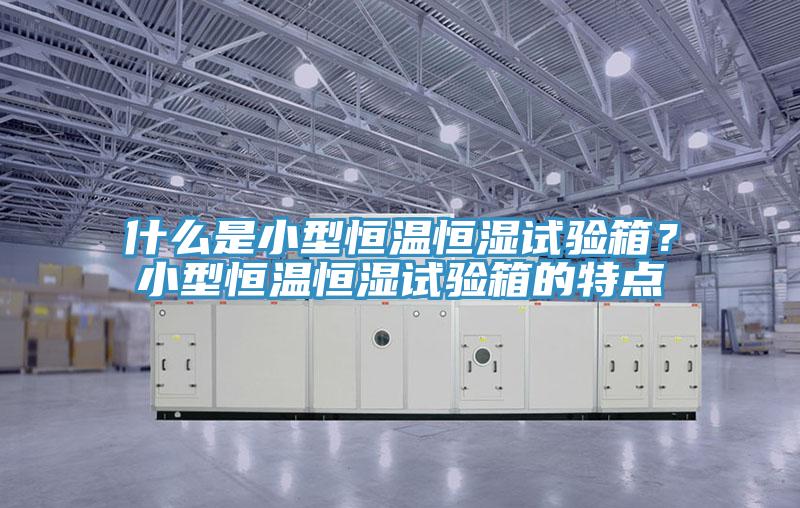 什么是小型恒溫恒濕試驗箱？小型恒溫恒濕試驗箱的特點(diǎn)