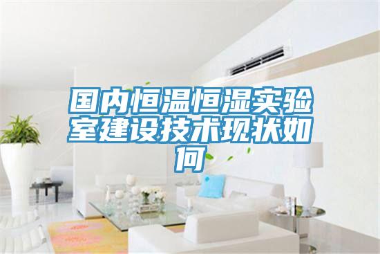 國內恒溫恒濕實(shí)驗室建設技術(shù)現狀如何
