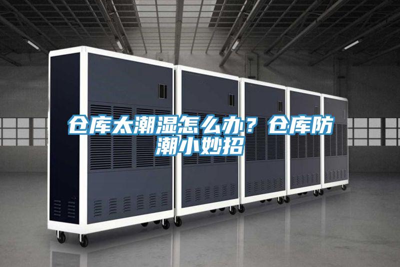 倉庫太潮濕怎么辦？倉庫防潮小妙招