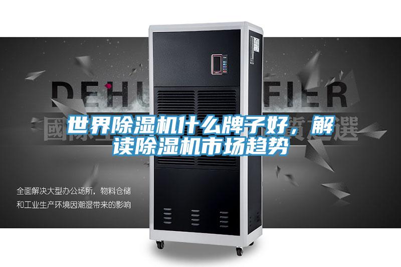 世界除濕機什么牌子好，解讀除濕機市場(chǎng)趨勢