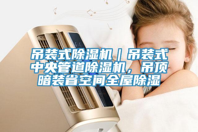 吊裝式除濕機｜吊裝式中央管道除濕機，吊頂暗裝省空間全屋除濕