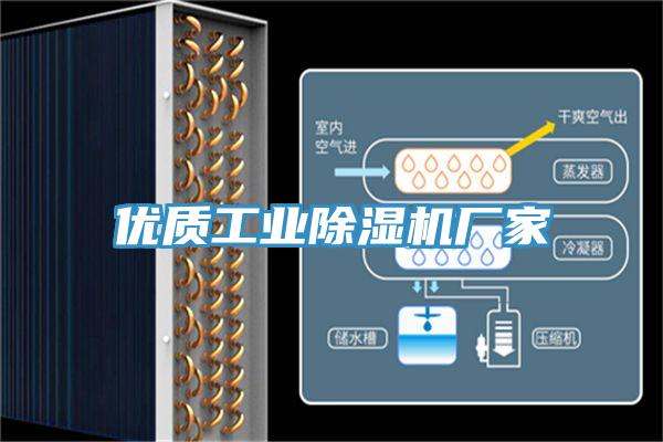 優(yōu)質(zhì)工業(yè)除濕機廠(chǎng)家