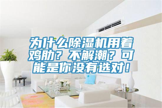 為什么除濕機用著(zhù)雞肋？不解潮？可能是你沒(méi)有選對！