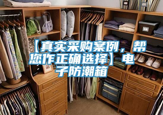 【真實(shí)采購案例，幫您作正確選擇】電子防潮箱