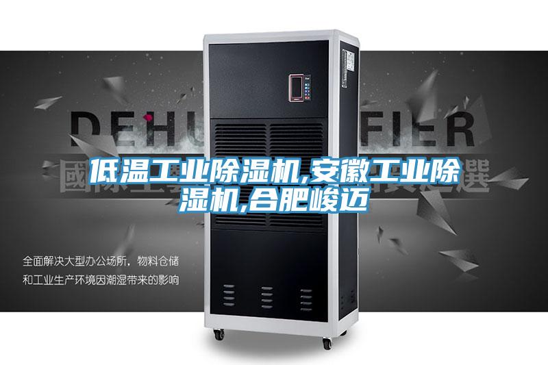 低溫工業(yè)除濕機,安徽工業(yè)除濕機,合肥峻邁