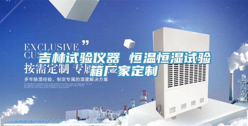 吉林試驗儀器 恒溫恒濕試驗箱廠(chǎng)家定制