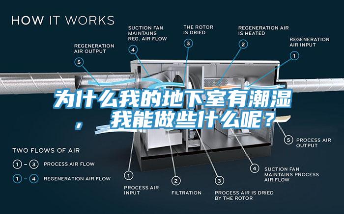 為什么我的地下室有潮濕， 我能做些什么呢？