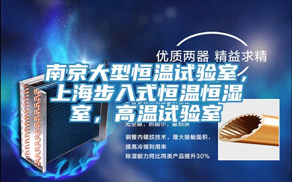南京大型恒溫試驗室，上海步入式恒溫恒濕室，高溫試驗室