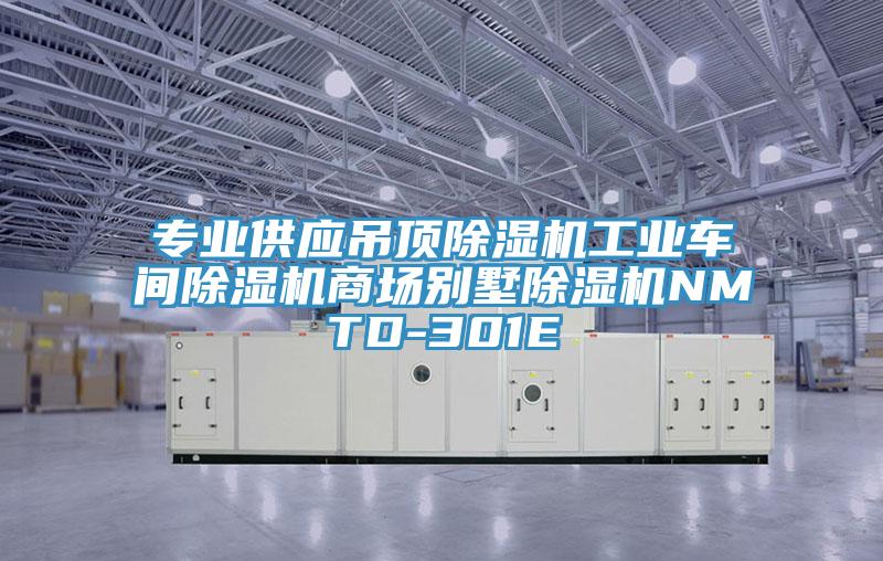 專(zhuān)業(yè)供應吊頂除濕機工業(yè)車(chē)間除濕機商場(chǎng)別墅除濕機NMTD-301E