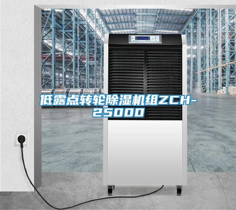 低露點(diǎn)轉輪除濕機組ZCH-25000