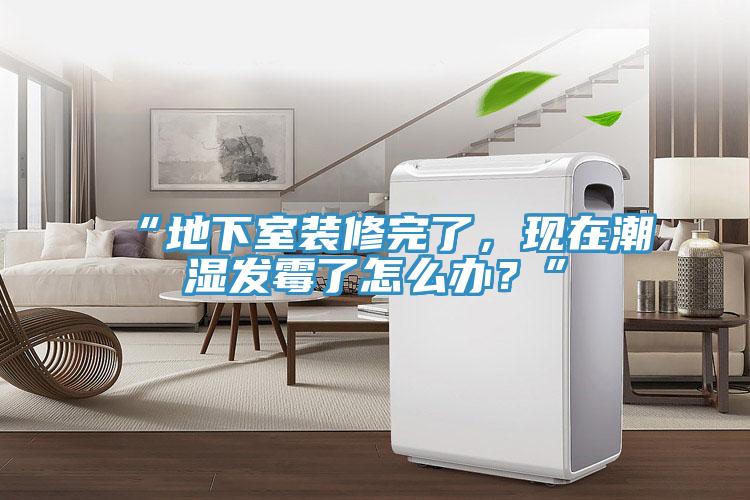 “地下室裝修完了，現在潮濕發(fā)霉了怎么辦？”