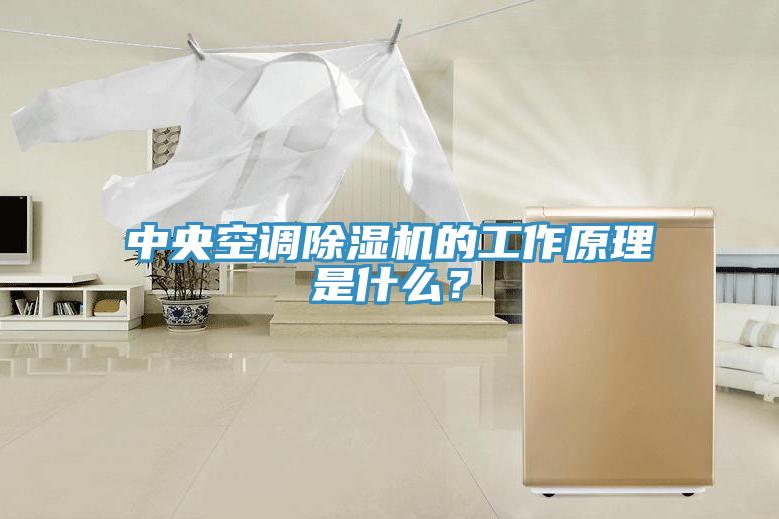 中央空調除濕機的工作原理是什么？