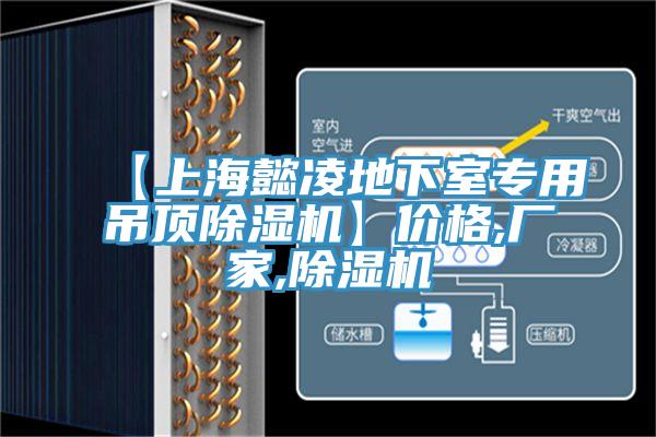 【上海懿凌地下室專(zhuān)用吊頂除濕機】?jì)r(jià)格,廠(chǎng)家,除濕機