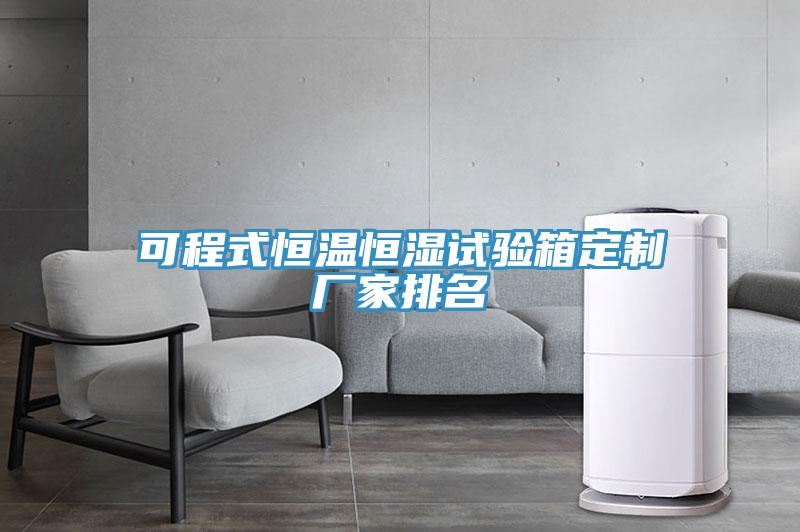 可程式恒溫恒濕試驗箱定制廠(chǎng)家排名