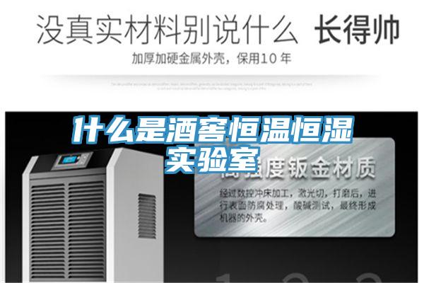 什么是酒窖恒溫恒濕實(shí)驗室