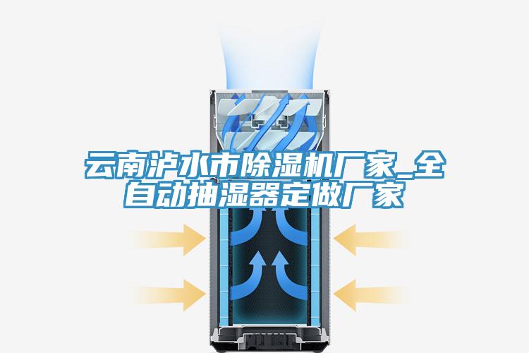 云南瀘水市除濕機廠(chǎng)家_全自動(dòng)抽濕器定做廠(chǎng)家