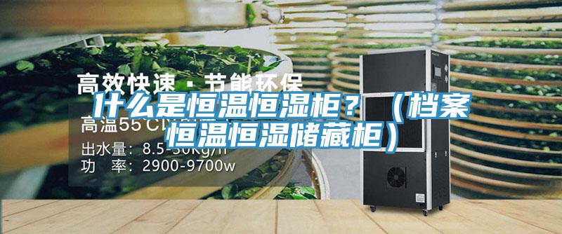 什么是恒溫恒濕柜？（檔案恒溫恒濕儲藏柜）