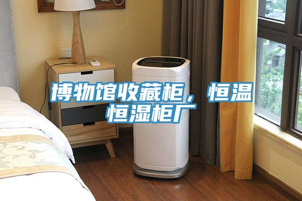 博物館收藏柜，恒溫恒濕柜廠(chǎng)