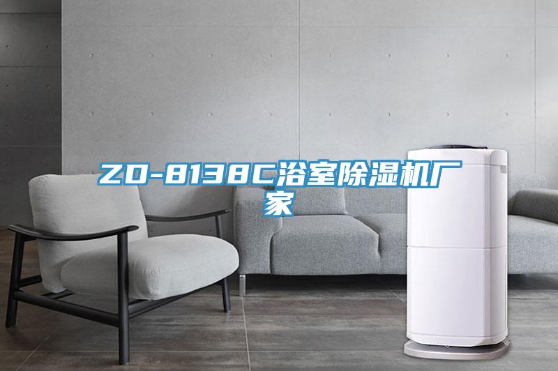 ZD-8138C浴室除濕機廠(chǎng)家