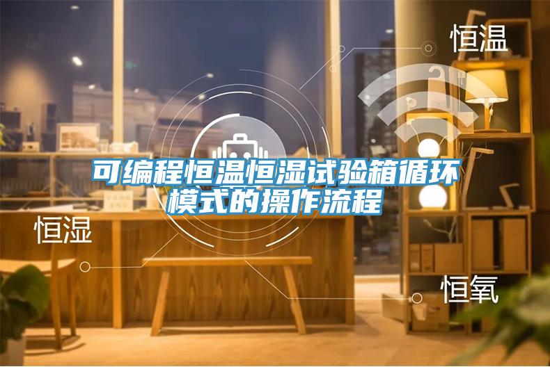 可編程恒溫恒濕試驗箱循環(huán)模式的操作流程