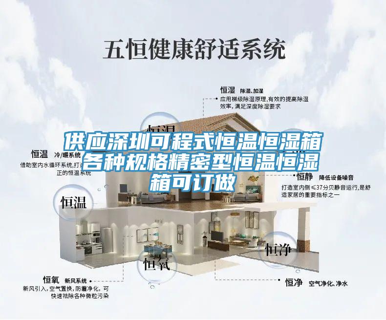 供應深圳可程式恒溫恒濕箱 各種規格精密型恒溫恒濕箱可訂做