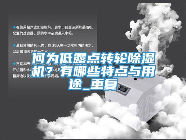 何為低露點(diǎn)轉輪除濕機？有哪些特點(diǎn)與用途_重復