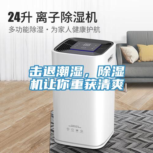 擊退潮濕，除濕機讓你重獲清爽
