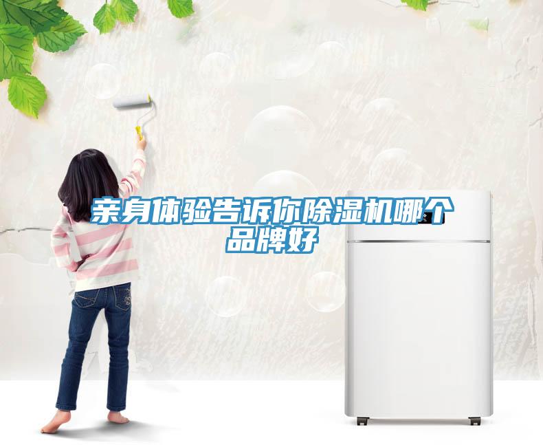 親身體驗告訴你除濕機哪個(gè)品牌好