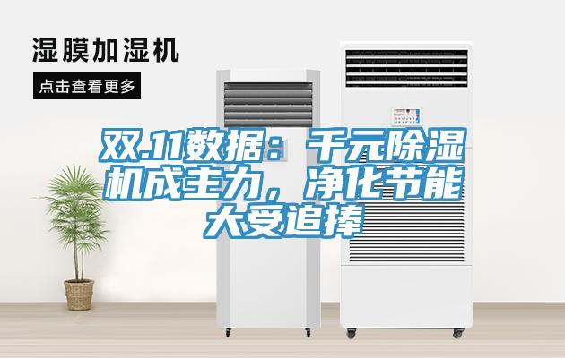 雙.11數據：千元除濕機成主力，凈化節能大受追捧