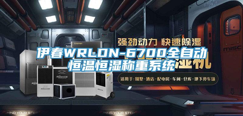 伊春WRLDN-6700全自動(dòng)恒溫恒濕稱(chēng)重系統