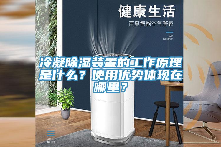冷凝除濕裝置的工作原理是什么？使用優(yōu)勢體現在哪里？