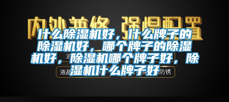 什么除濕機好，什么牌子的除濕機好，哪個(gè)牌子的除濕機好，除濕機哪個(gè)牌子好，除濕機什么牌子好