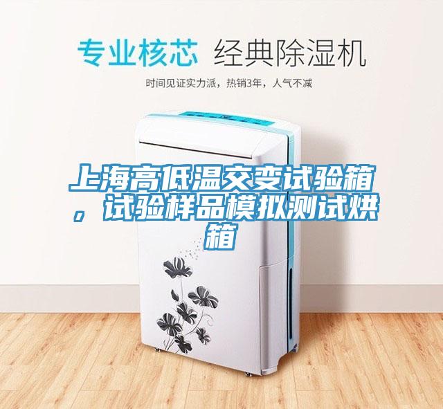 上海高低溫交變試驗箱，試驗樣品模擬測試烘箱