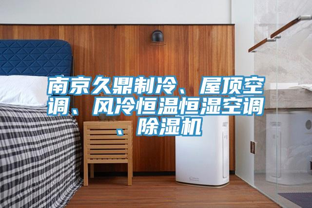 南京久鼎制冷、屋頂空調、風(fēng)冷恒溫恒濕空調、除濕機