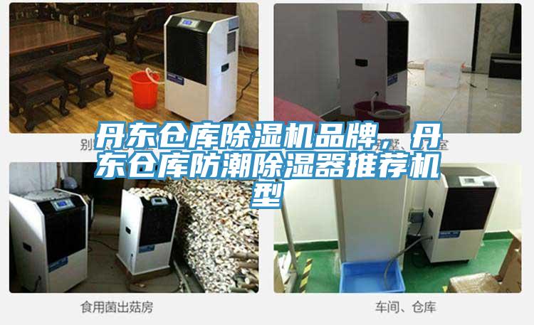 丹東倉庫除濕機品牌，丹東倉庫防潮除濕器推薦機型