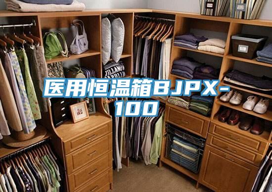 醫用恒溫箱BJPX-100