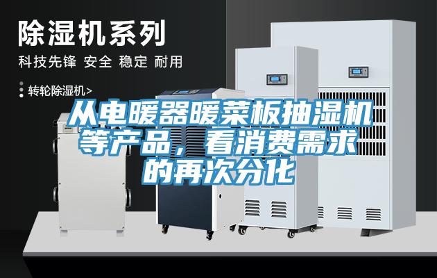 從電暖器暖菜板抽濕機等產(chǎn)品，看消費需求的再次分化